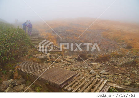 秋の群馬県 霧に煙る谷川岳肩ノ小屋付近の登山道 秋の群馬県 霧に煙る谷川岳肩ノ小屋付近の登山道 77187763