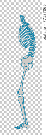 Elderly stoop posture 77187869