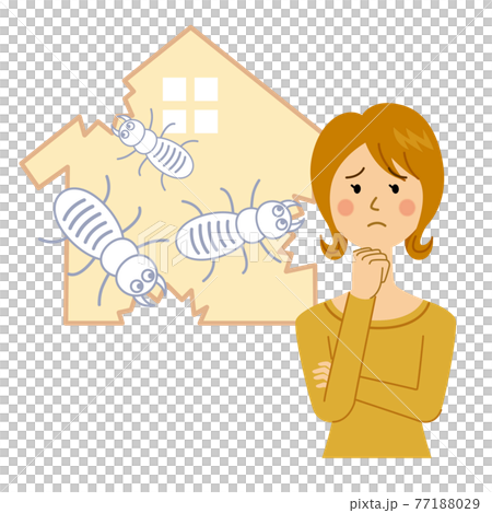 A woman in trouble with termites 77188029