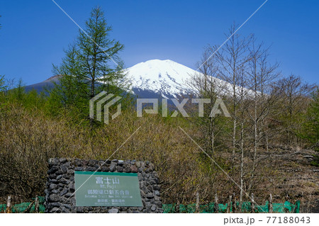 【静岡】春の富士山御殿場口五合目 【静岡】春の富士山御殿場口五合目 77188043