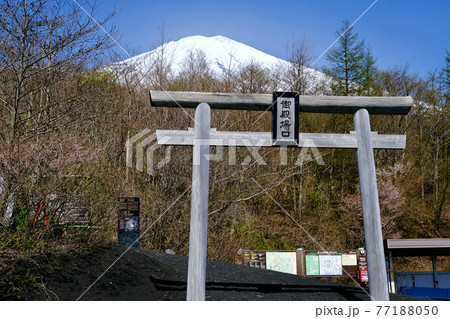 【静岡】春の富士山御殿場口五合目 77188050