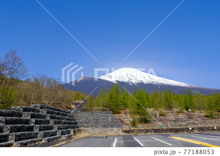【静岡】春の富士山御殿場口五合目 77188053