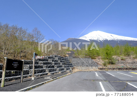 【静岡】春の富士山御殿場口五合目 77188054