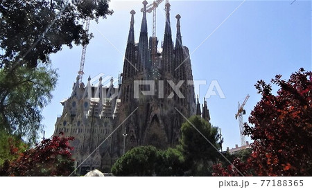 サグラダ・ファミリア～バルセロナ/世界遺産(1) 77188365