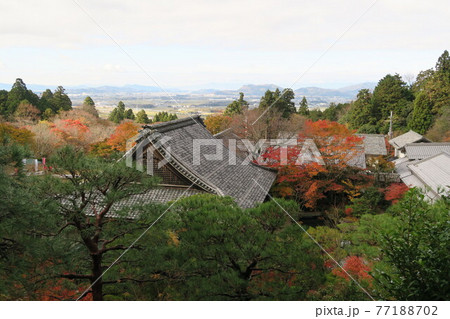 百済寺～天下遠望台から見た紅葉～ 77188702