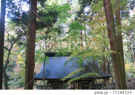 百済寺～仁王門～ 77188724