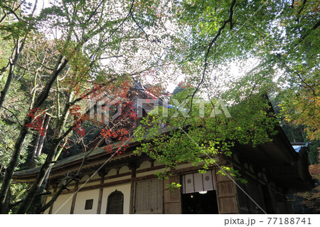 百済寺~本堂~ 百済寺~本堂~ 77188741