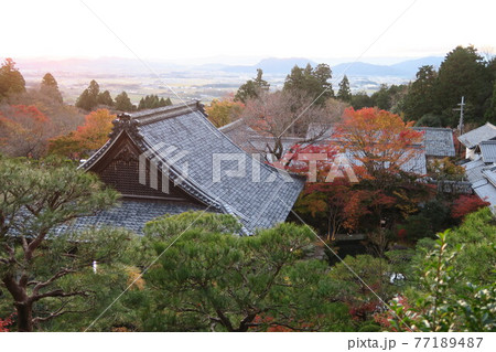 夕暮れの百済寺～天下遠望台から見た紅葉～ 77189487