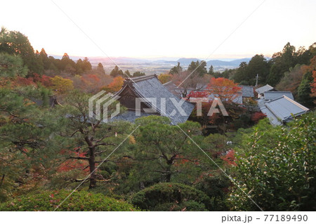 夕暮れの百済寺～天下遠望台から見た紅葉～ 77189490