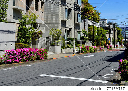 東京 代々木上原駅周辺の閑静な高級住宅街の風景 東京 代々木上原駅周辺の閑静な高級住宅街の風景 77189537