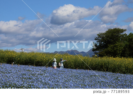 鼻高展望花の丘 77189593
