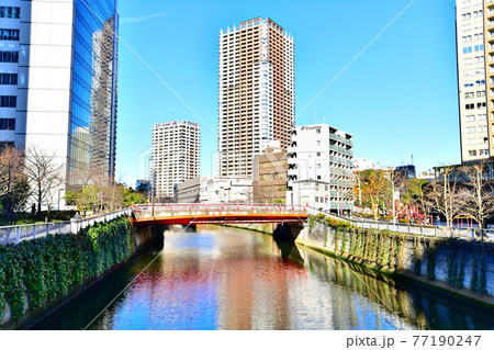 御成橋／目黒川 周辺を望む(東京都品川区)【2020.12】 77190247
