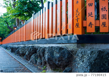 京都市東山区祇園白川の新緑を撮影 77190415