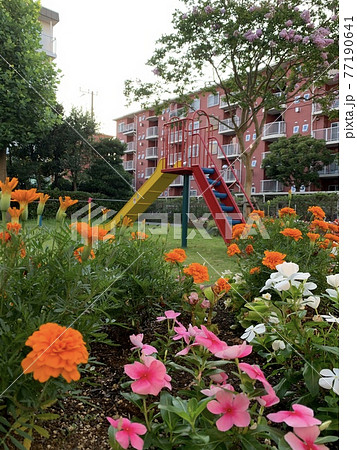 マンションの公園の滑り台と花壇の花 77190641