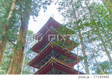 4月栃木県日光東照宮 4月栃木県日光東照宮 77190980