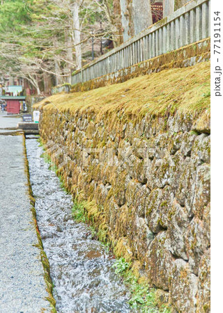 4月栃木県日光東照宮 77191154