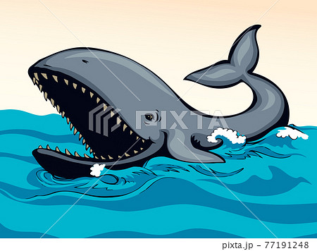 Whale With Open Mouth Vector Drawingのイラスト素材