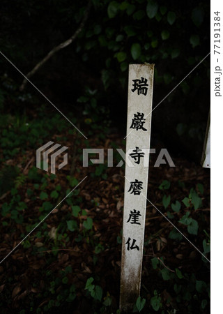 玖珠郡（九重町）　瑞巌寺磨崖仏 77191384