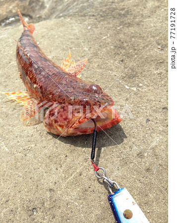 釣られた魚はエイリアン!? 釣られた魚はエイリアン!? 77191728