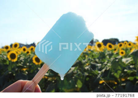 ヒマワリ畑で食べる格別アイス 77191768