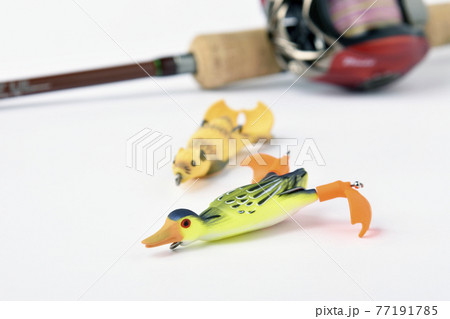 白バックにフィッシングのフロッグルアーにベイトリールと釣り竿 77191785