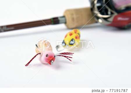 白バックにフィッシングのフロッグルアーにベイトリールと釣り竿 77191787