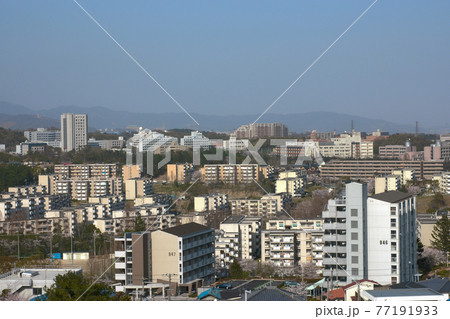 千里中央公園の展望台から千里ニュータウン古江台・藤白台(大阪府吹田市)方面を望む 千里中央公園の展望台から千里ニュータウン古江台・藤白台(大阪府吹田市)方面を望む 77191933