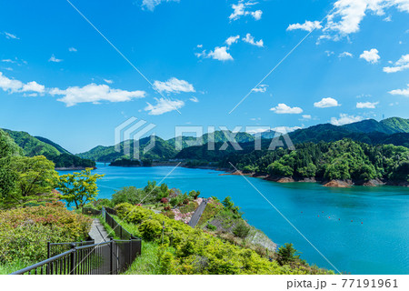 清川村鳥居原園地からの望む宮ケ瀬湖 清川村鳥居原園地からの望む宮ケ瀬湖 77191961