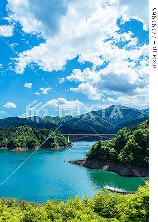清川村鳥居原園地からの望む宮ケ瀬湖 清川村鳥居原園地からの望む宮ケ瀬湖 77191965