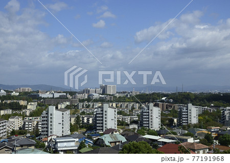 千里中央公園の展望台から千里ニュータウン古江台・藤白台（大阪府吹田市）方面を望む 77191968