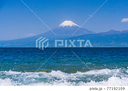 (静岡県)大瀬崎(おせざき)先端から見る、海越しの富士山 (静岡県)大瀬崎(おせざき)先端から見る、海越しの富士山 77192109