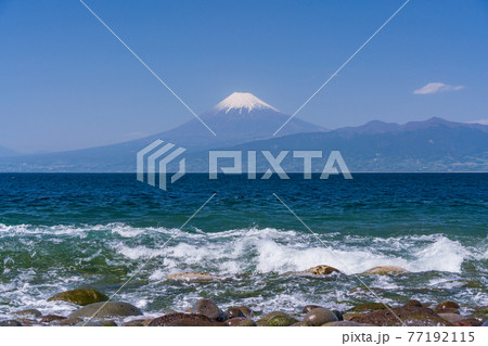 (静岡県)大瀬崎(おせざき)先端から見る、海越しの富士山 (静岡県)大瀬崎(おせざき)先端から見る、海越しの富士山 77192115