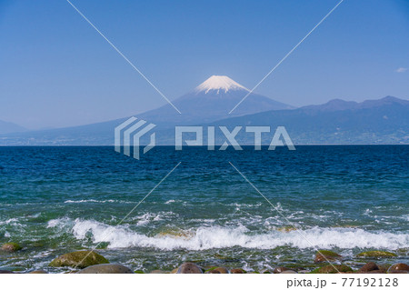 (静岡県)大瀬崎(おせざき)先端から見る、海越しの富士山 (静岡県)大瀬崎(おせざき)先端から見る、海越しの富士山 77192128