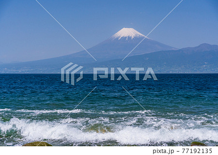 （静岡県）大瀬崎（おせざき）先端から見る、海越しの富士山 77192135