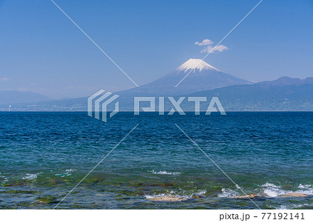 （静岡県）大瀬崎（おせざき）先端から見る、海越しの富士山 77192141
