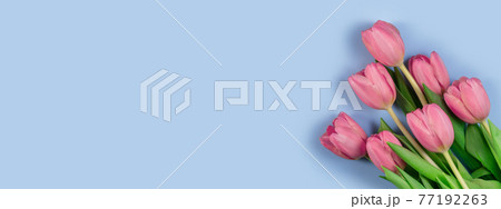 Pink tulips flowers on blue background. Card for Mothers day, 8 March, Happy Easter, Valentines Day, wide banner 77192263