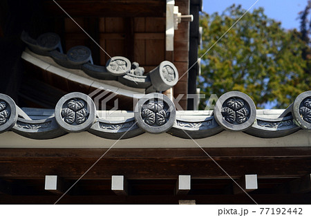 多田神社の三つ葉葵紋 多田神社の三つ葉葵紋 77192442