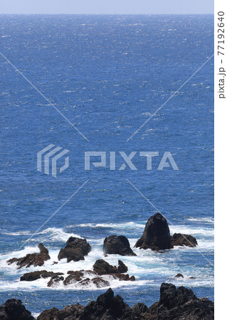 室戸岬先端の岩礁と太平洋の水平線 室戸岬先端の岩礁と太平洋の水平線 77192640