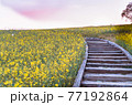 遊歩道 77192864