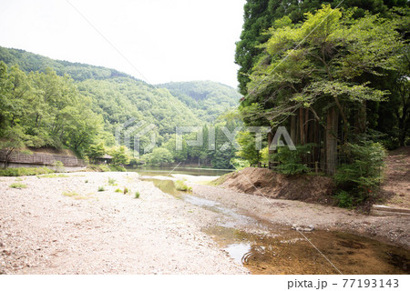 大分市 大分県県民の森 大分市 大分県県民の森 77193143