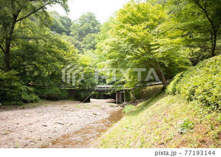 大分市 大分県県民の森 大分市 大分県県民の森 77193144