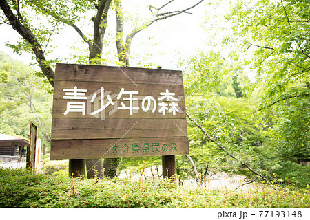 大分市 大分県県民の森 大分市 大分県県民の森 77193148