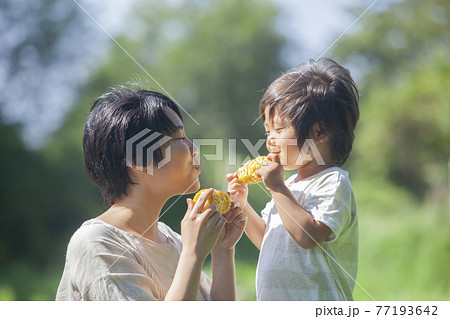 畑で、とうもろこしを食べる親子 畑で、とうもろこしを食べる親子 77193642