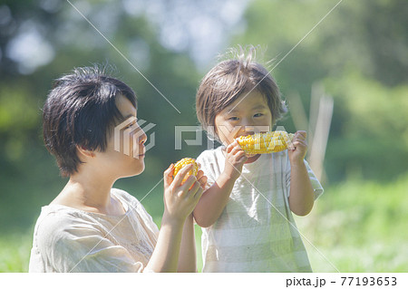 畑で、とうもろこしを食べる親子 畑で、とうもろこしを食べる親子 77193653