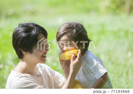畑で、とうもろこしを食べる親子 畑で、とうもろこしを食べる親子 77193666