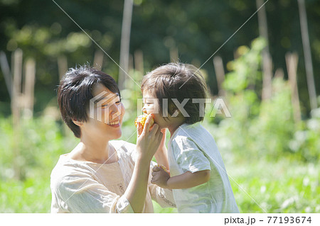 畑で、とうもろこしを食べる親子 畑で、とうもろこしを食べる親子 77193674