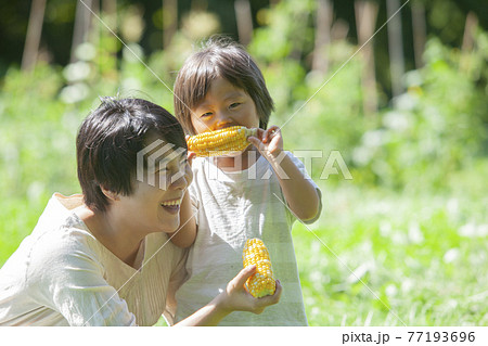 畑で、とうもろこしを食べる親子 畑で、とうもろこしを食べる親子 77193696