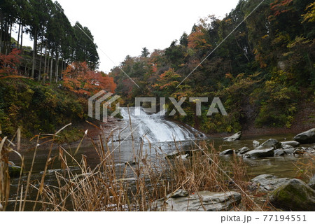 養老渓谷の紅葉 養老渓谷の紅葉 77194551