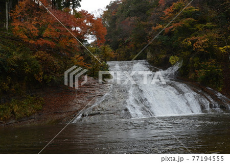 養老渓谷の紅葉 養老渓谷の紅葉 77194555