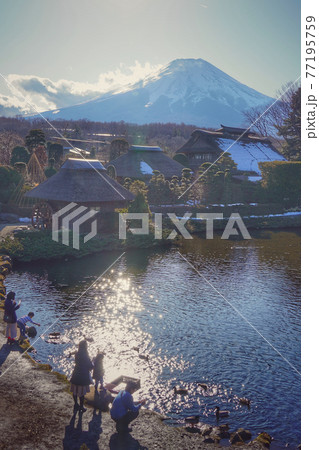 忍野八海から見た富士山の写真素材 [77195759] - PIXTA